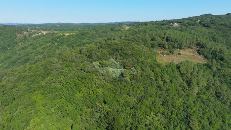 mountain covered with dense forest at o saviñao in lugo, galicia, spain. aerial shot