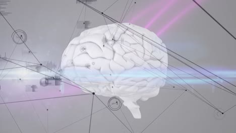 red de conexiones y procesamiento de datos contra el cerebro humano y rastros de luz en fondo gris