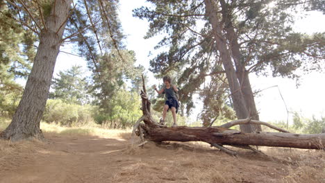 a person stands on a fallen tree trunk in a forested area