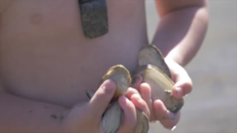 un niño sosteniendo mariscos en la playa