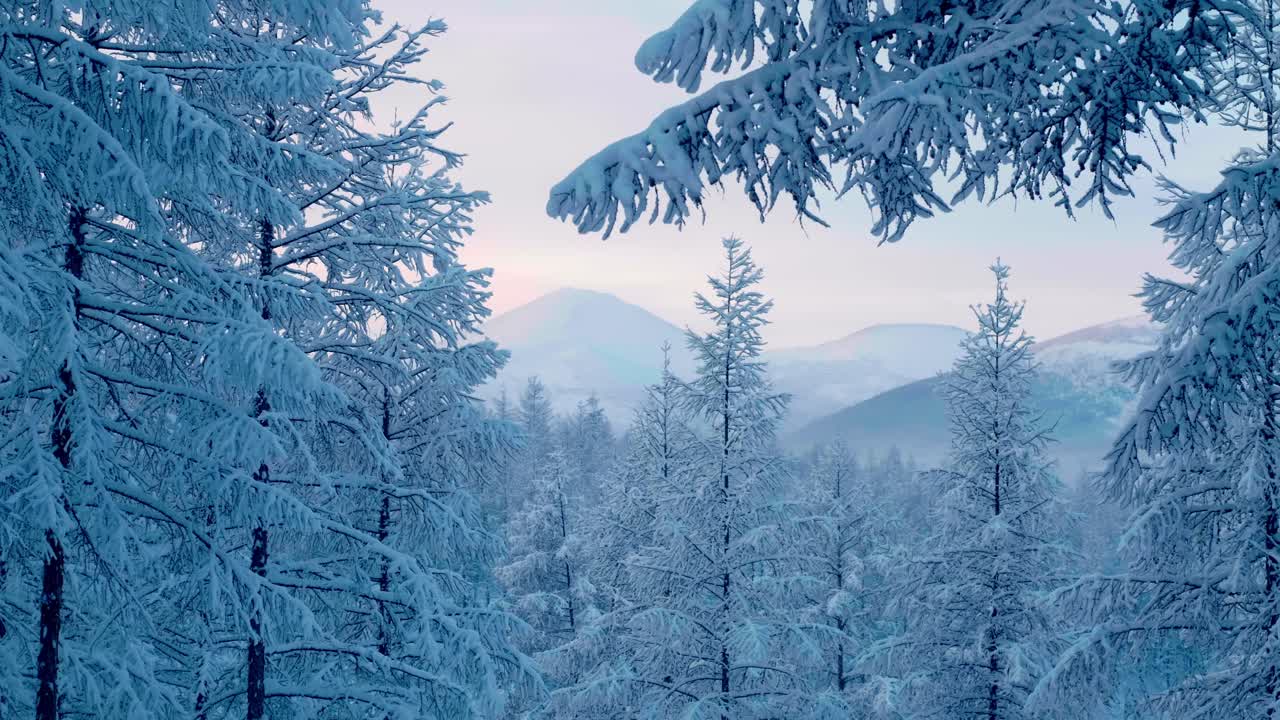 Snedækket skovlandskab med majestætiske bjerge og en klar, blå himmel. Fredfyldt vintersceneri, der er perfekt til natur- og rejseprojekter