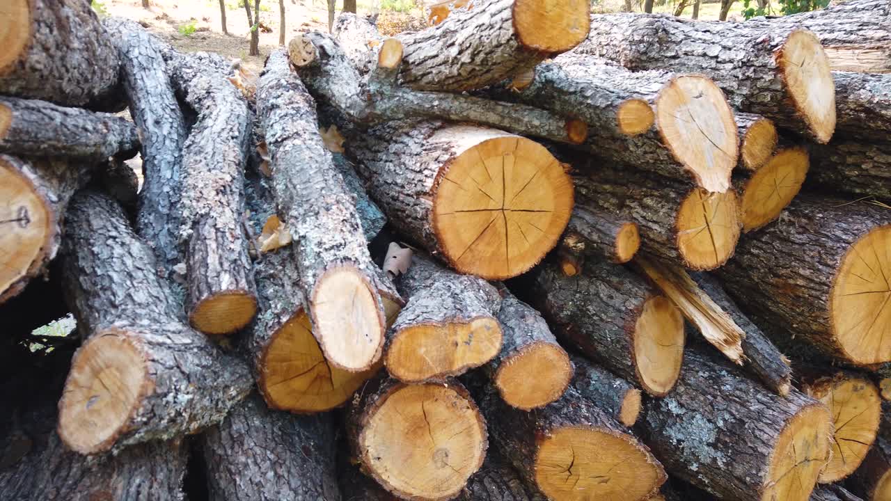 Firewood pile, stacked and chopped wood trunks prepared for the stove and fireplace. Close up of lumber.  Pan right