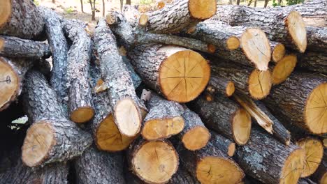firewood pile, stacked and chopped wood trunks prepared for the stove and fireplace. close up of lumber.  pan right
