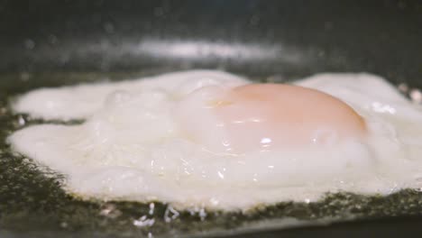 slow motion side view of fried egg cooking in bubbling hot oil for crispy egg white. traditional morning high protein healthy meal food. close up shot