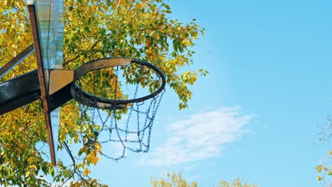 a basketball ball flies into the basket.