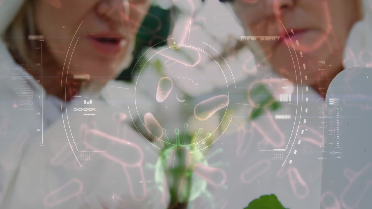 식물학자 는 미시적 인 유기체 를 찾기 위해 잎 을 연구 하고 있다 4k