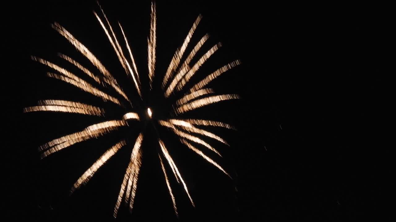 Fireworks in the dark knight in different shapes and colors celebrating new year.