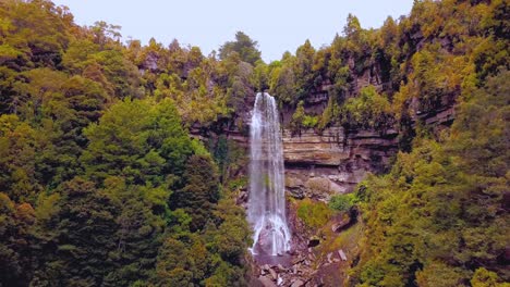 empuje aéreo épico a través de las copas de los árboles de las cascadas granity falls cerca de stockton, nueva zelanda