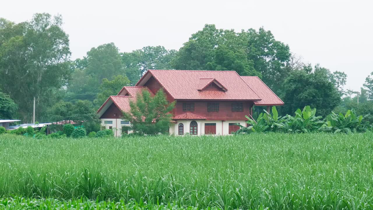 Zooming out of a house in a rural area to slowly reveal the rest of the farm with the cornfield, located in a village in a province in Thailand