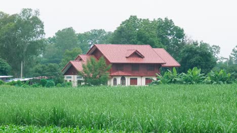 Zooming-out-of-a-house-in-a-rural-area-to-slowly-reveal-the-rest-of-the-farm-with-the-cornfield,-located-in-a-village-in-a-province-in-Thailand