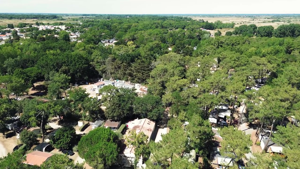 Aerial shot gliding over a wooded campsite in the Vendée. Mobile homes, caravans and camping pitches emerge beneath a dense canopy of pine trees, highlighting the connection between tourism