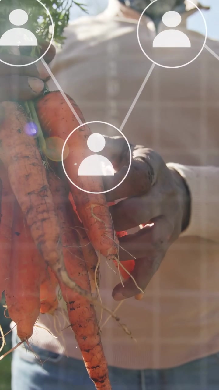 Video verticale: Giardiniere anziano che presenta carote in giardino ruotando le radici con icone di realtà aumentata che appaiono.