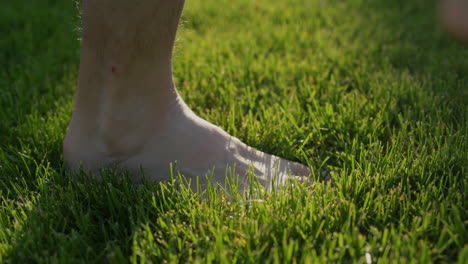 hand strokes evenly cut grass on the lawn