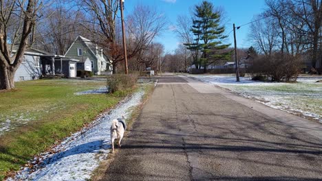 POV-Aufnahme-Eines-Mannes,-Der-Auf-Der-Schneebedeckten-Straße-Auf-Der-Straße-Spazieren-Geht