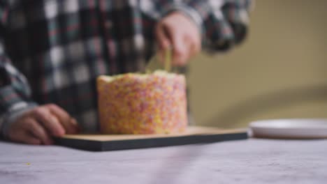 defocused shot of person at home cutting slice from rainbow celebration cake on table 2