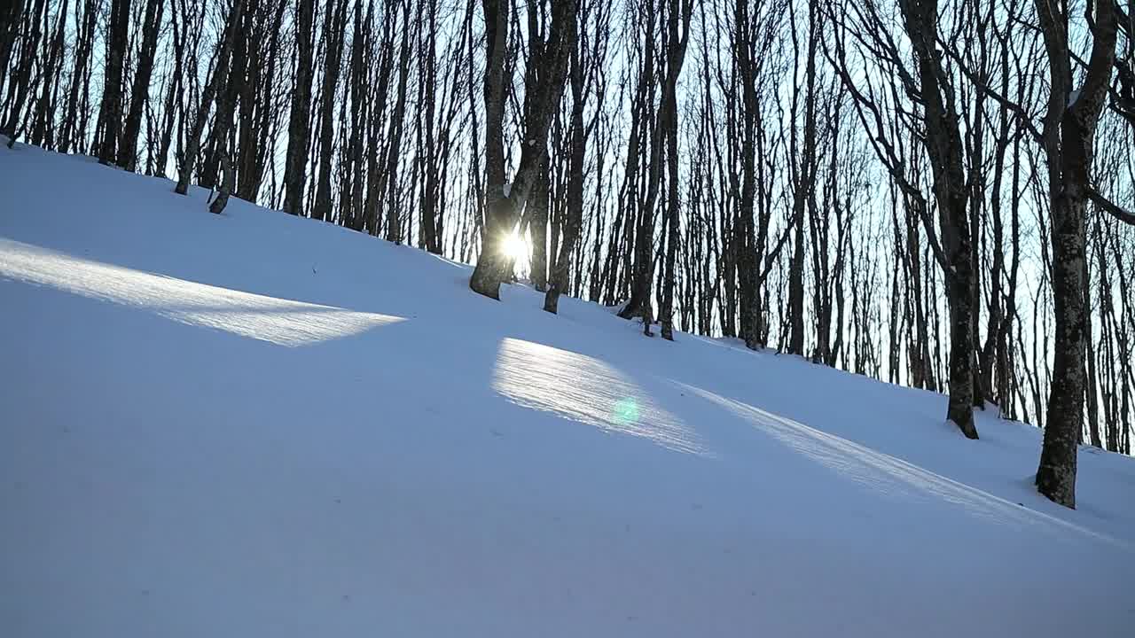 lots of snow in the woods with the golden sun behind the trees