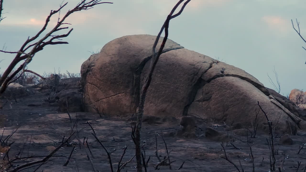 미국 캘리포니아주 페어뷰 파이어 헤멧의 파괴적인 번트 록랜드