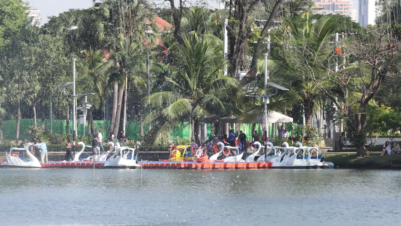 페달 보트 를 함께 타고 즐기는 사람 들