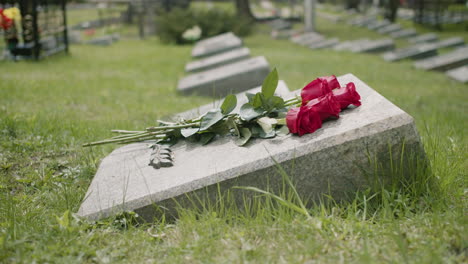 side view of red roses on tombstone in a gravevard