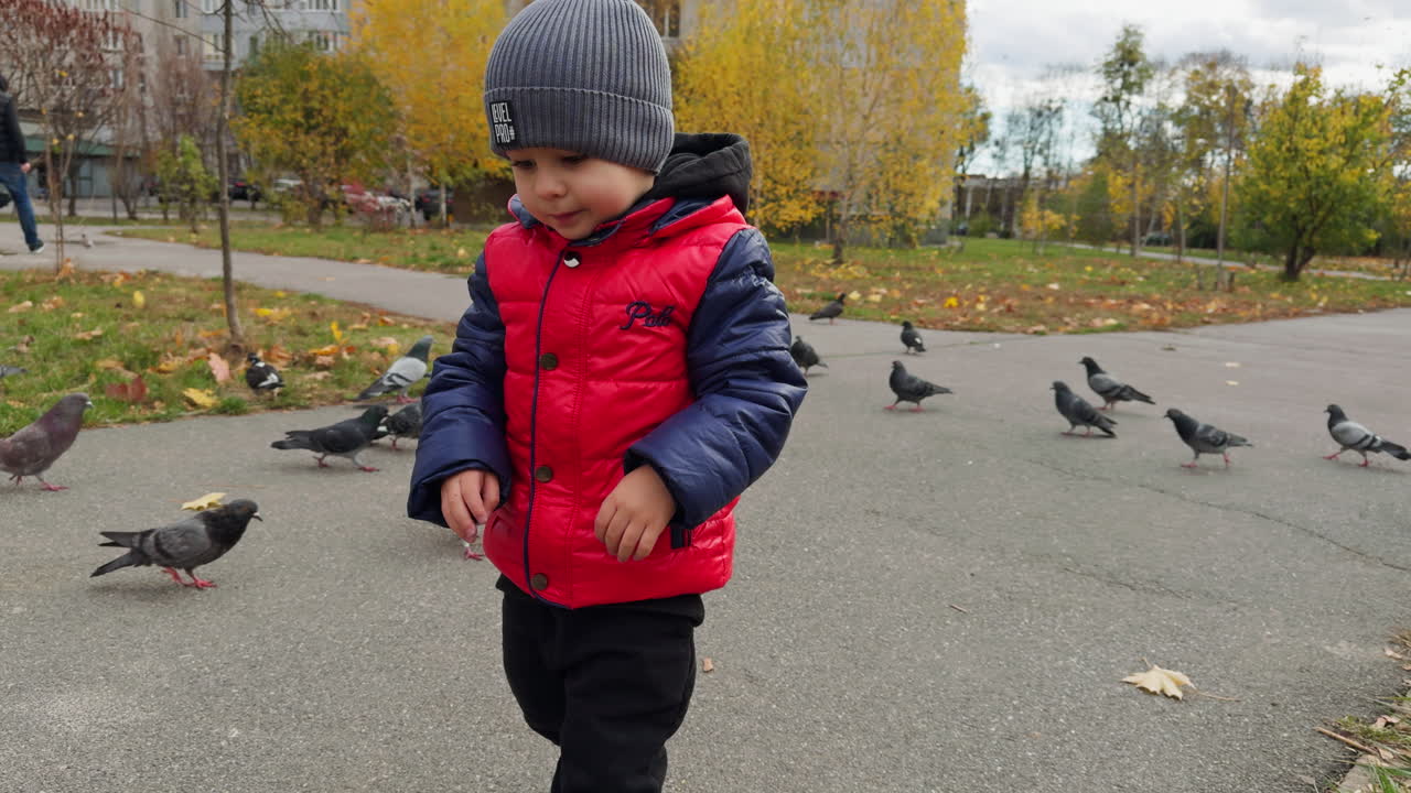 Kaukasialainen taapero punaisessa takissa hyppää ja säikäyttää kyyhkysparven. Lapsi kävelyllä syksyllä.