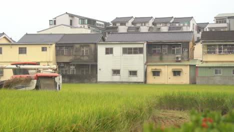 Farmer-driving-multifunctional-paddy-harvesting-machine-across-ripen-golden-rice-paddy-field,-cultivating-healthy-crops-during-harvest-season-at-Doliu-Yunlin-Taiwan