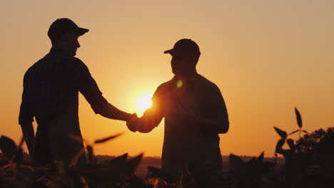 Two-Farmers-Talk-On-The-Field-Then-Shake-Hands-Use-A-Tablet-4K-Video