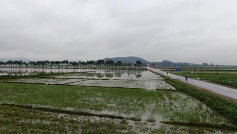 Vista-Estable-Por-La-Carretera-Mojada-Junto-Al-Campo-De-Arroz-Después-De-Fuertes-Lluvias