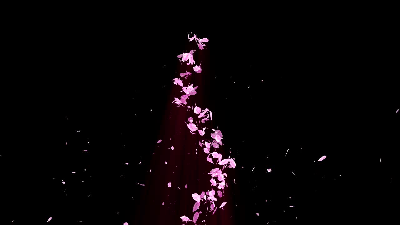 꽃의 나선형 반이는 입자, 사쿠라 패턴, 일본의 꽃 춤, 분홍색 꽃잎의 소용돌이, 추상적인 루프 애니메이션.
