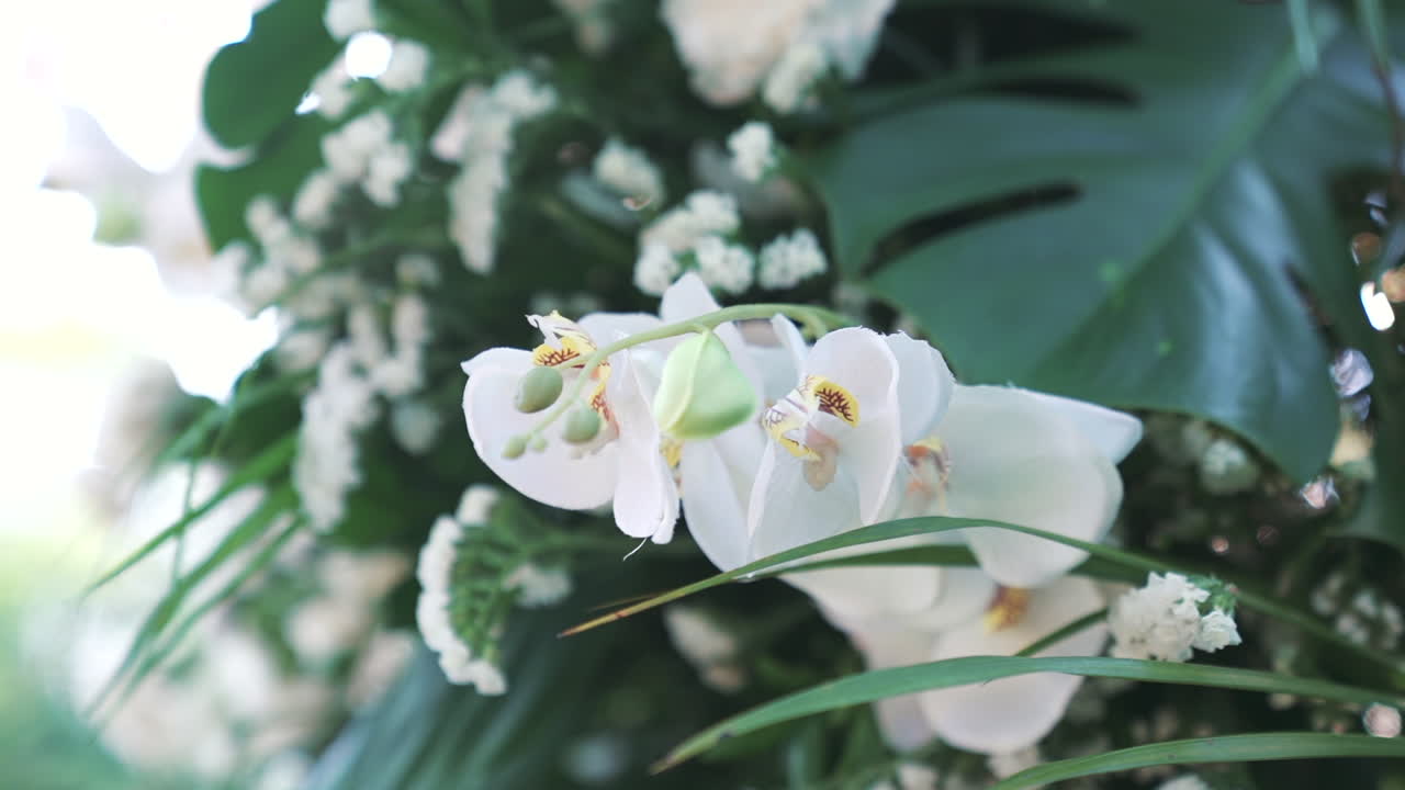 Close-up of elegant white orchids arranged for wedding, sophistication of luxury events