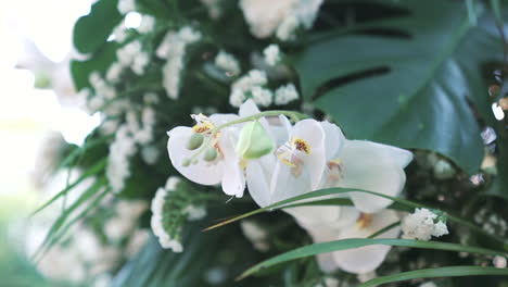 close-up of elegant white orchids arranged for wedding, sophistication of luxury events