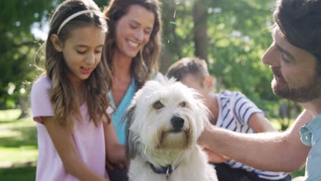 Family-playing-with-their-dog-in-the-park