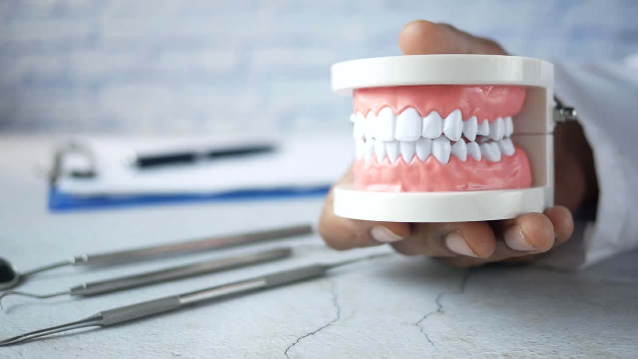 dentista con un modelo dental