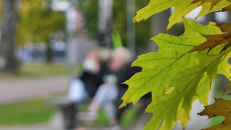 Autumn-city-view-in-the-city