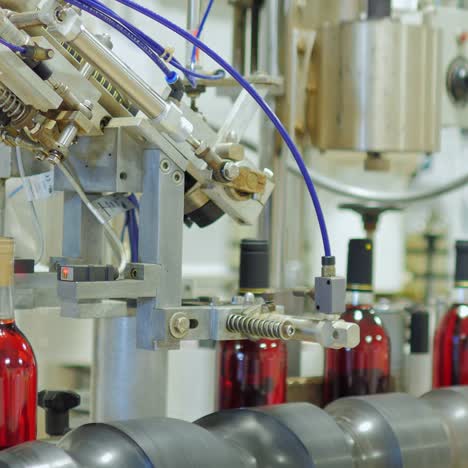 el vino se embotella en la bodega 2