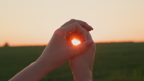 women's hands hold the disk of the sun, which sets over a field of wheat