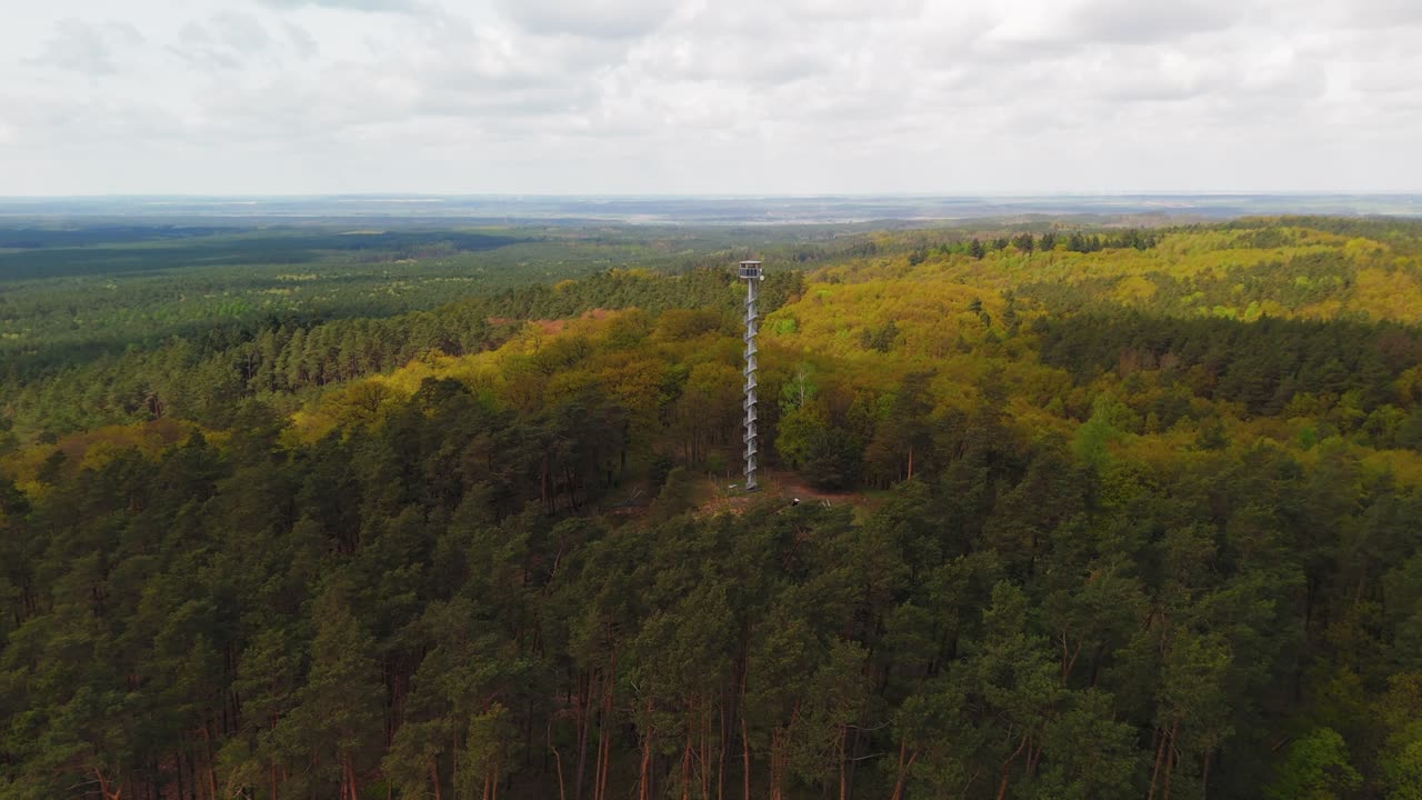 torre de vigilancia de incendios en el medio de un área boscosa