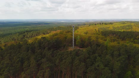 fire lookout tower in the middle of a wooded area