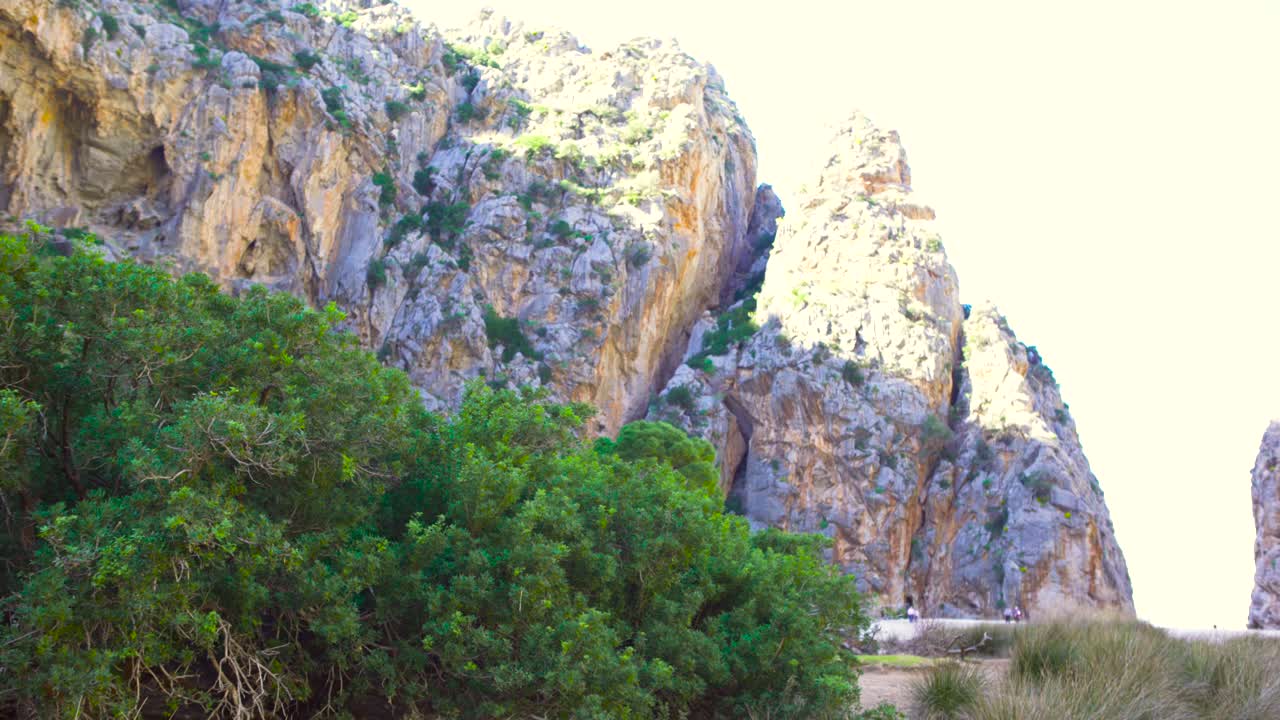 산악 풍경과 식물과 산책로
