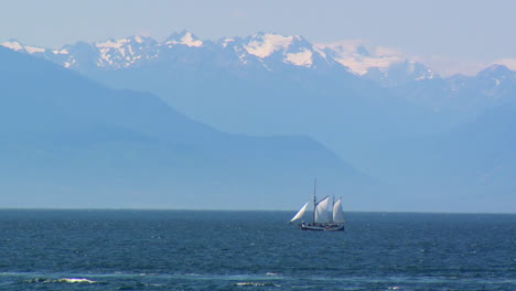 Velero-En-Victoria,-Bc-Despliega-Un-Bote-Con-Montañas-Olímpicas-En-El-Fondo