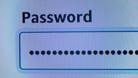 password input field on computer screen