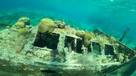 general shot of a wrecked ship at the bottom of the sea full of coral and fish