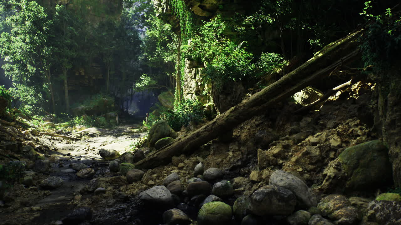 A Lush Forest Stream with Rocks and Moss