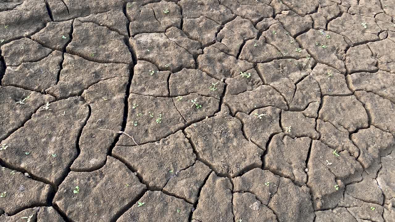 terreno de suelo agrietado seco durante sequía intensa, concepto de desertificación, primer plano