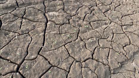 Dry-cracked-soil-terrain-during-heavy-drought,-desertification-concept,-closeup