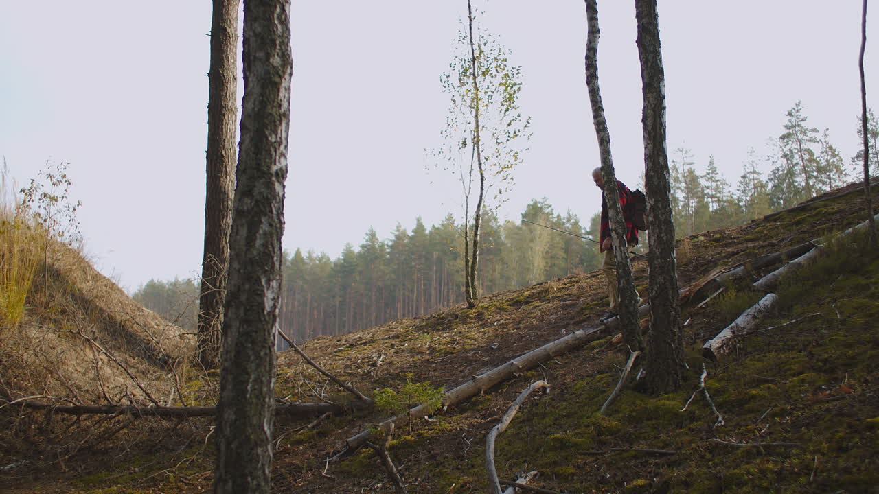 un mochilero está caminando solo en el bosque en el día de otoño turismo y senderismo en el bosque hombre de mediana edad está disfrutando de la naturaleza