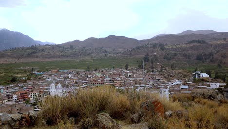 view of cabanaconde peru with cactus