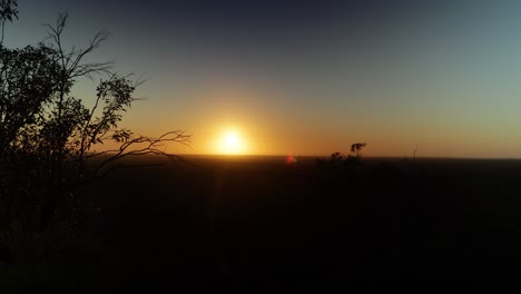 Un-Amanecer-Sobre-El-Matorral-Mallee-En-El-Interior-De-Australia