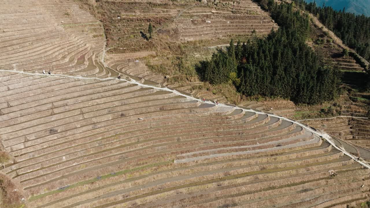 Drone view of patterned Longsheng rice terraces with footpaths and hillside forest near Guilin