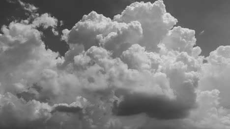 4k lapso de tiempo en blanco y negro mirando espectaculares nubes blancas y esponjosas moviéndose hacia arriba a través de la escena