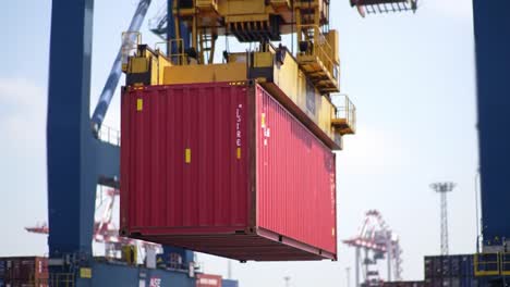A large crane carefully lifts a red shipping container at an active port, showcasing the efficiency of cargo operations amidst numerous containers and cranes.